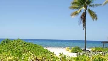 On the beach
