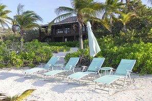 Property grounds - Featherstone - Downstairs Beach Front Apartment (Tibbett's Turn)