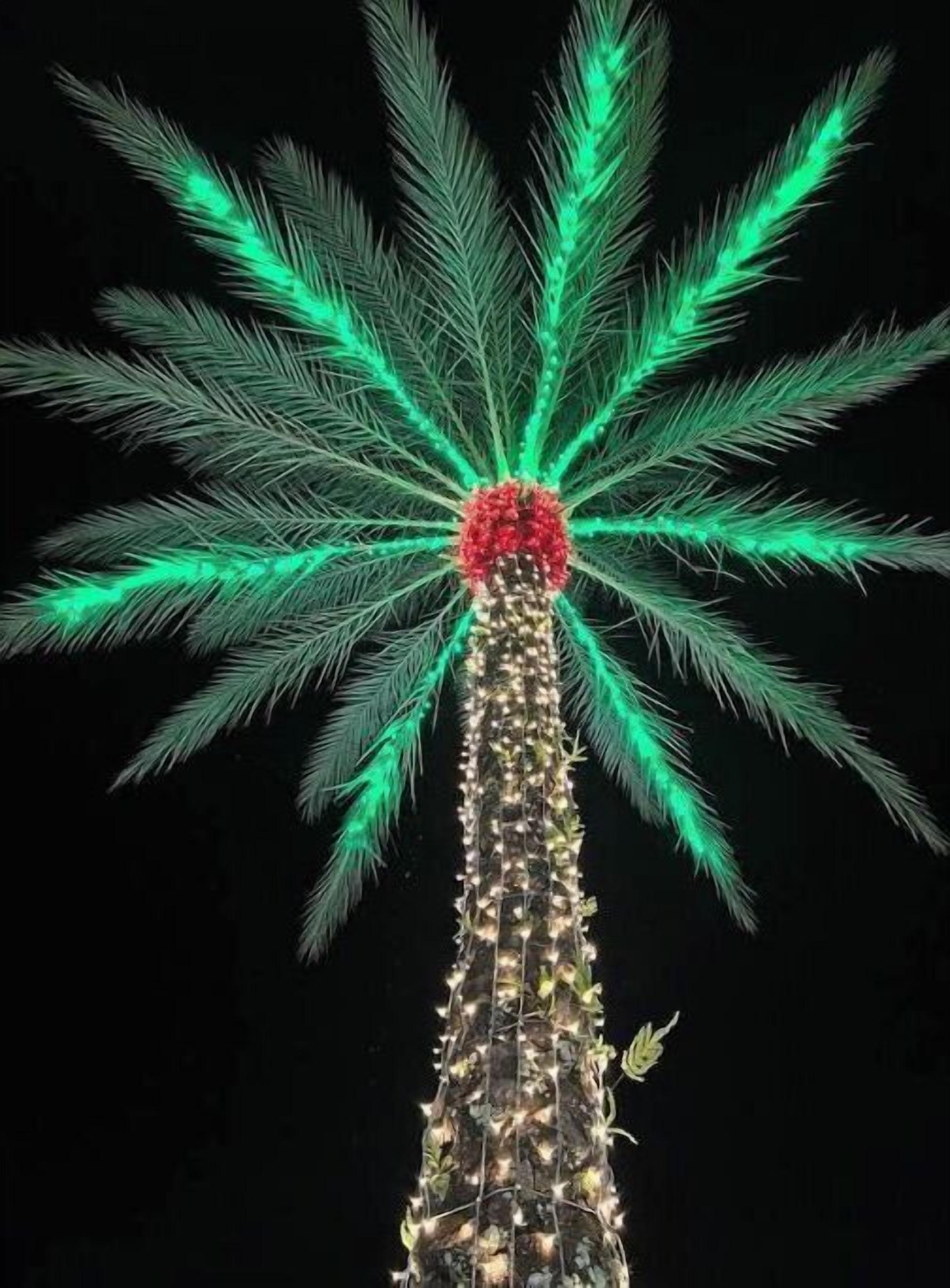 A palm tree with green lights and a red top.