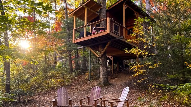 A treehouse with a wooden deck and a small porch, surrounded by a forest. - Dreamy Treehouse Getaway ~Dog Friendly~Disc Golf (Copperhill)