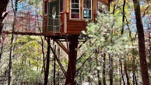 Une cabane perchée dans les arbres, avec une structure extérieure en bois, de nombreuses fenêtres et une porte. Elle est située en hauteur, au milieu des arbres dont le feuillage a pris les couleurs de l’automne.