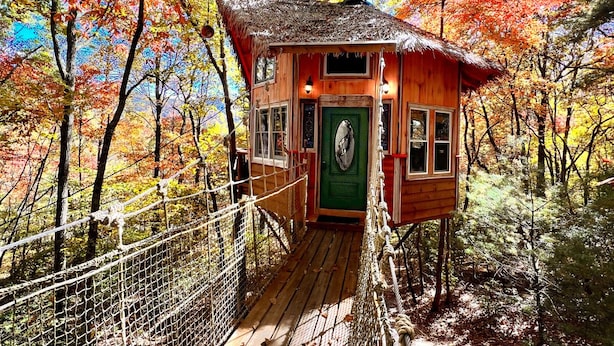 Une cabane perchée dans un arbre, avec un toit de chaume, des murs en bois et une porte verte. On y accède par un pont en bois muni d’une rambarde en corde.