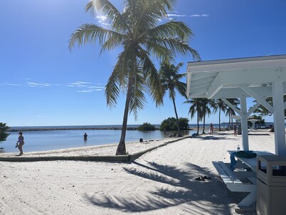 Beautifully Landscaped resort home pool, hottub, fire pit & more!