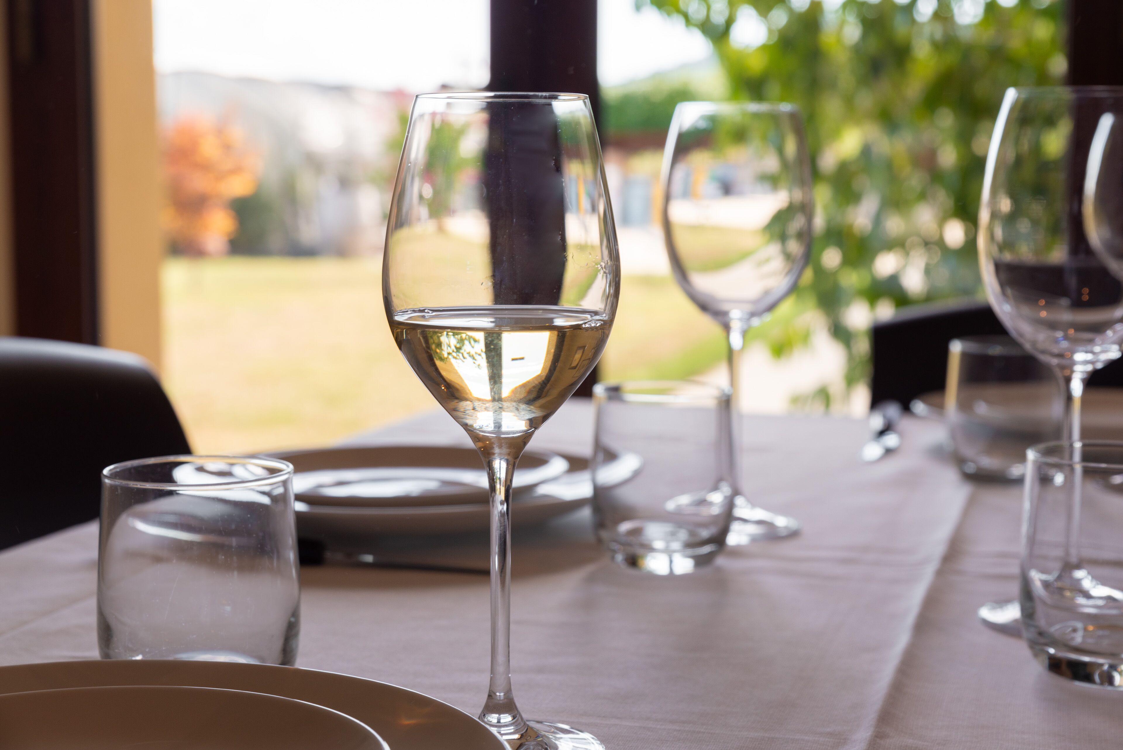 A dining table with several wine glasses and plates, set in a room with a view of greenery outside.