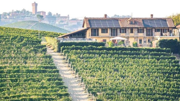 Un vigneto con file di viti e un edificio dotato di pannelli solari.