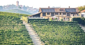 Explore the rolling vineyard and rustic winery, surrounded by lush grapevines and a historic tower.