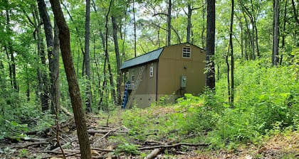 Pet friendly cottage on 17 acre Lake front property with dock and kayak access