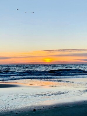 Unclassified image, 3 of 51, button