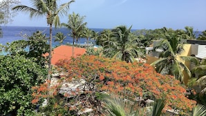 Une vue sur la côte, avec des palmiers, un bâtiment au toit rouge et un ciel bleu dégagé.