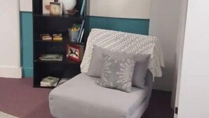 A small, cozy room with a grey sofa, a white decorative pillow, a bookshelf with various items, and a patterned rug. - In the Heart of Historic Paoli (Paoli)