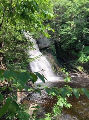 A waterfall surrounded by lush greenery. - Poconos Top Rated Resort - Saw Creek Estates (Bushkill)