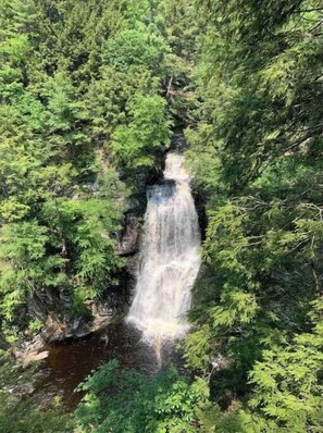A waterfall surrounded by dense green foliage. - Poconos Top Rated Resort - Saw Creek Estates (Bushkill)