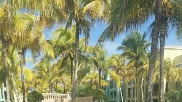 A swimming pool with clear blue water, surrounded by palm trees and a stone structure. - 5 pools, Amazing Rooftop Views , Beach (Vieques)