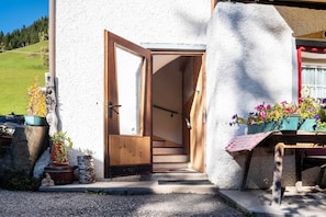A building entrance with a wooden door, a staircase leading inside, and potted plants outside.