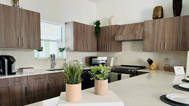 A modern kitchen with wooden cabinets, a white countertop, and two potted plants.