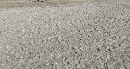 Beautifully renovated beach house with giant deck overlooking the Atlantic Ocean