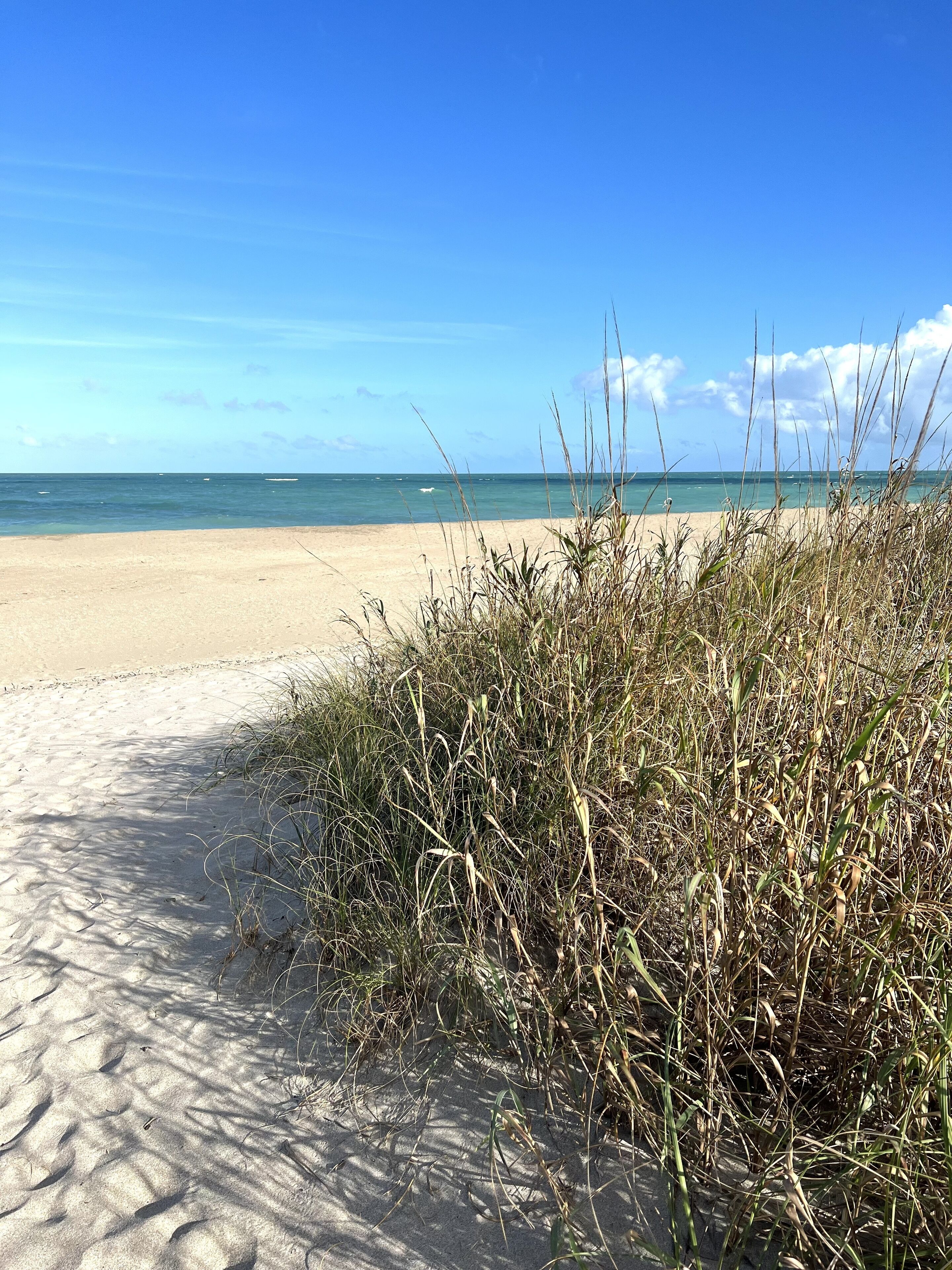 Beach nearby, sun-loungers, beach towels