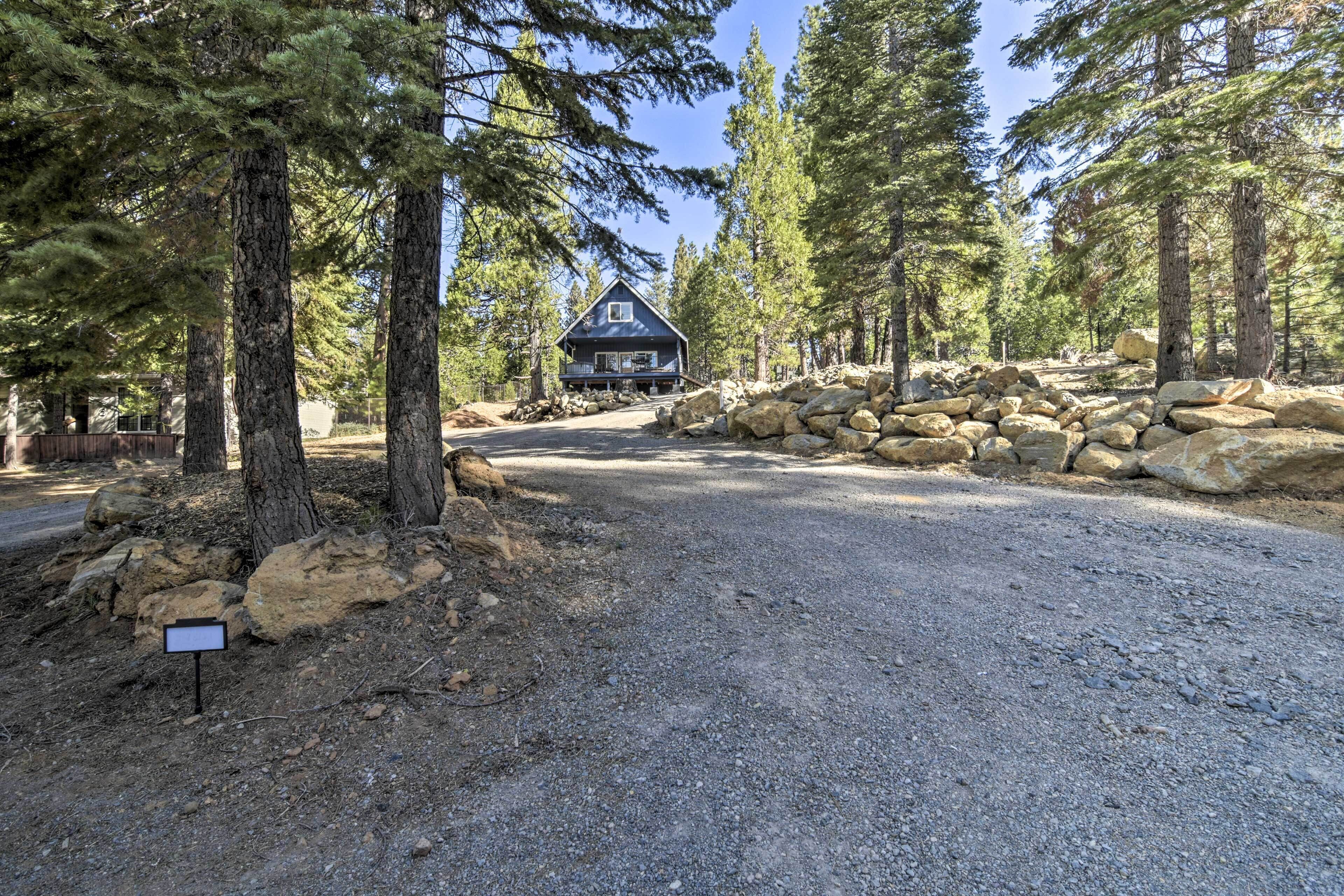 A cabin surrounded by a forest with a gravel driveway leading to it.