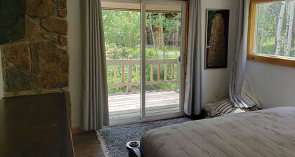 7 BR home in central Winter Park with great views on bus route