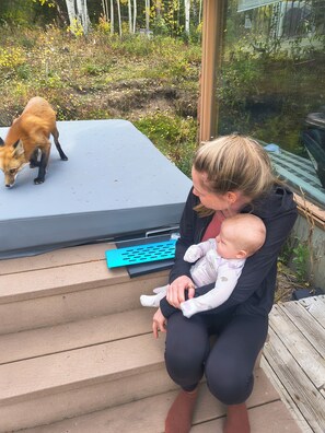 A woman sitting on outdoor steps with a baby in her arms, a dog on a platform, and a blue object on the steps.