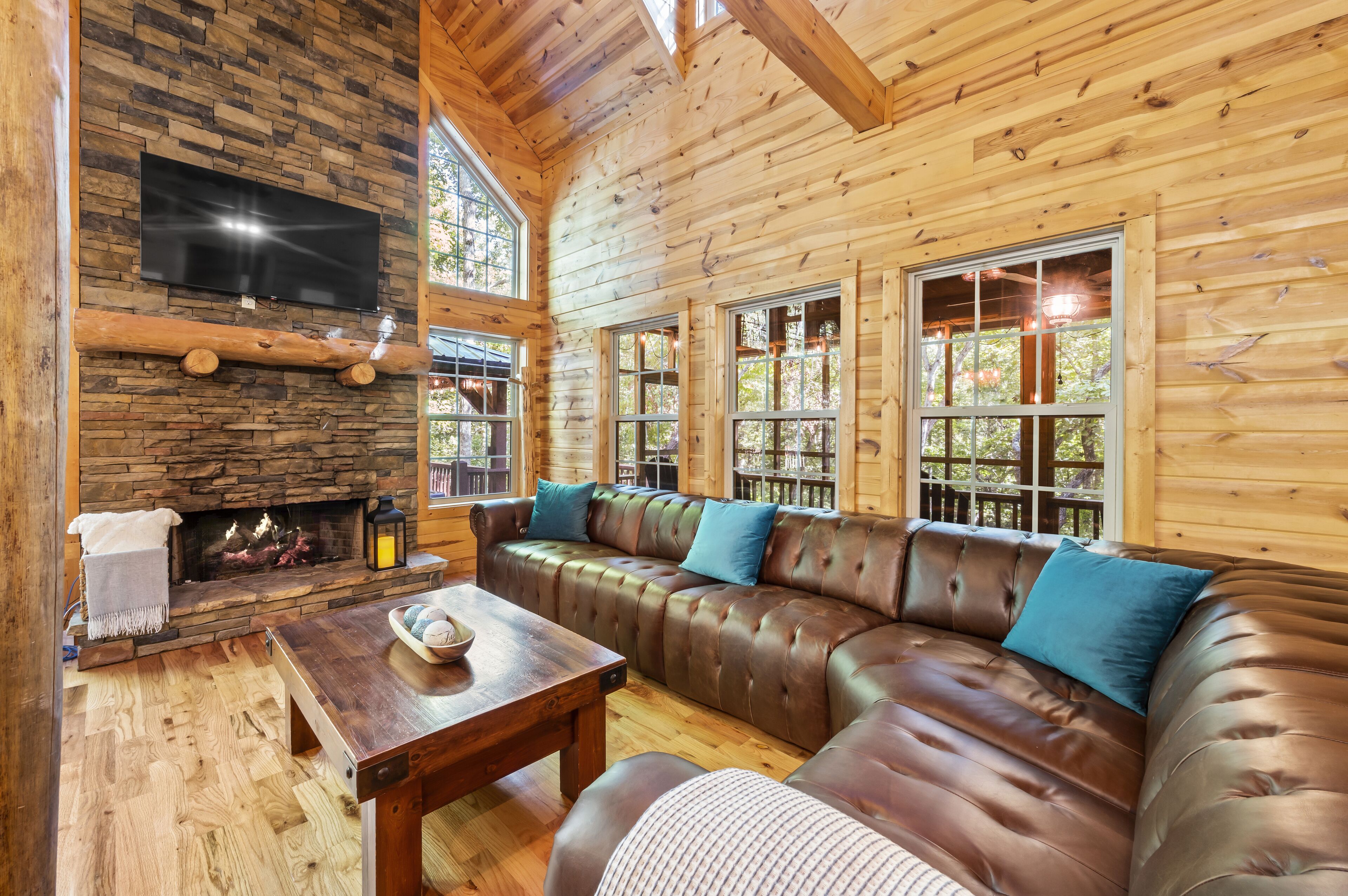 Smart TV, fireplace, books