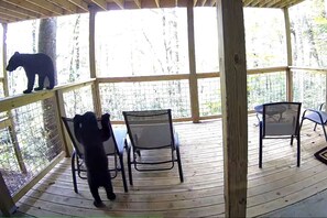 Outdoor dining - Bear Theme Suite With King Bed and Private Hot Tub (Gatlinburg)