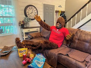 Smart TV, chimenea, videojuegos, libros