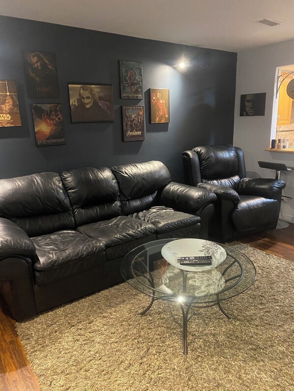 TV, fireplace, DVD player, video library