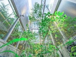 Un invernadero con diversas plantas y una estructura metálica.