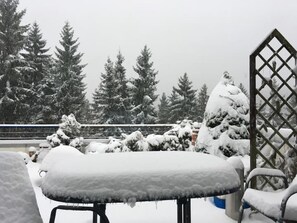 المنطقة المحيطة بالمنشأة