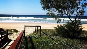Une plage avec un banc en bois et un petit arbre.