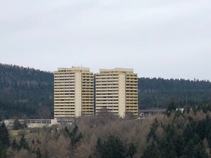Exterior - Vacation home Harz-Flair 264 (Braunlage)