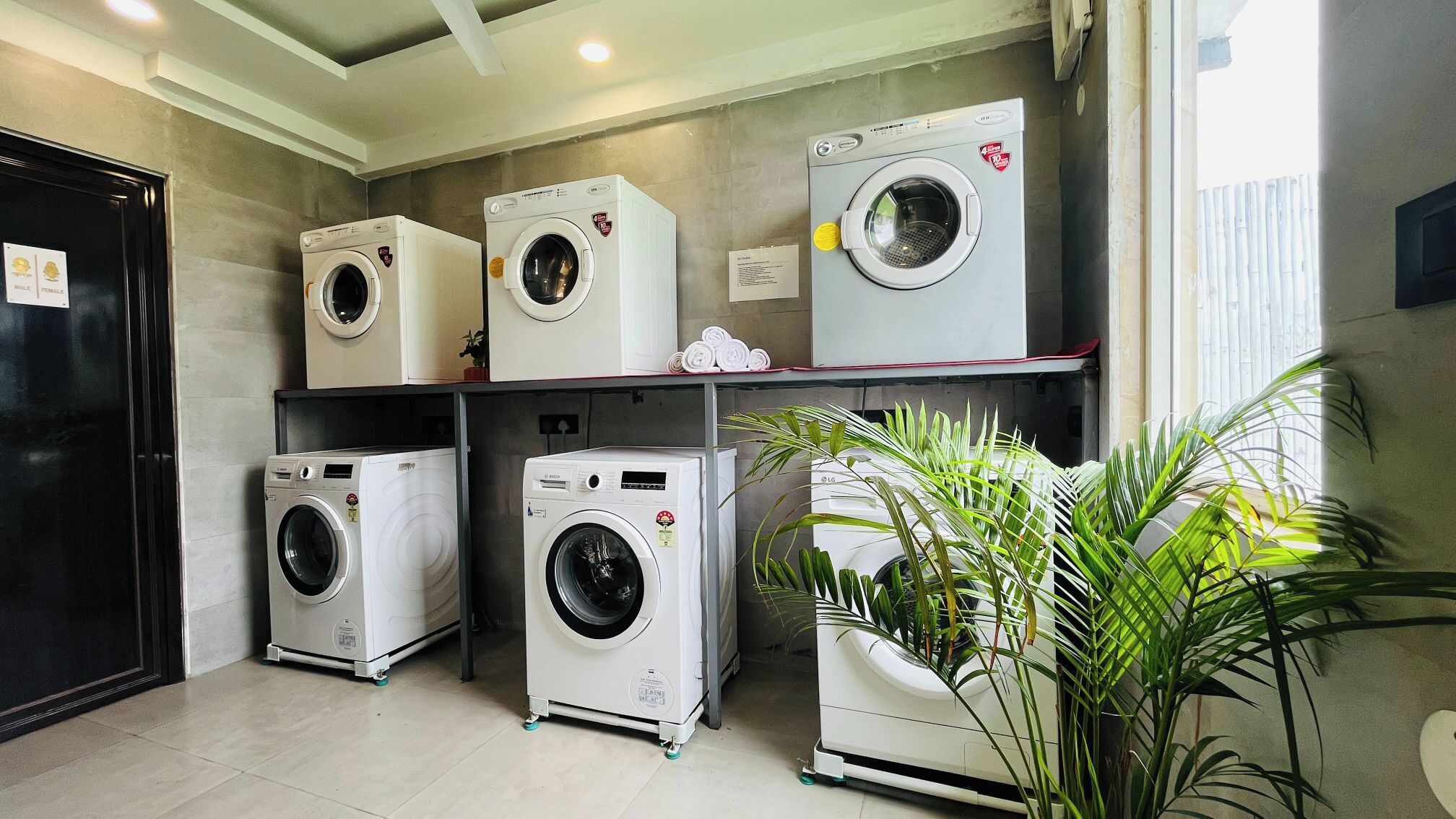 A laundry room with four front-loading washing machines on shelves, a black refrigerator, and a potted plant.