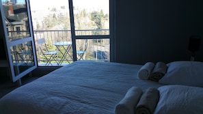 1 chambre, fer et planche à repasser, accès au Wi-Fi (inclus)