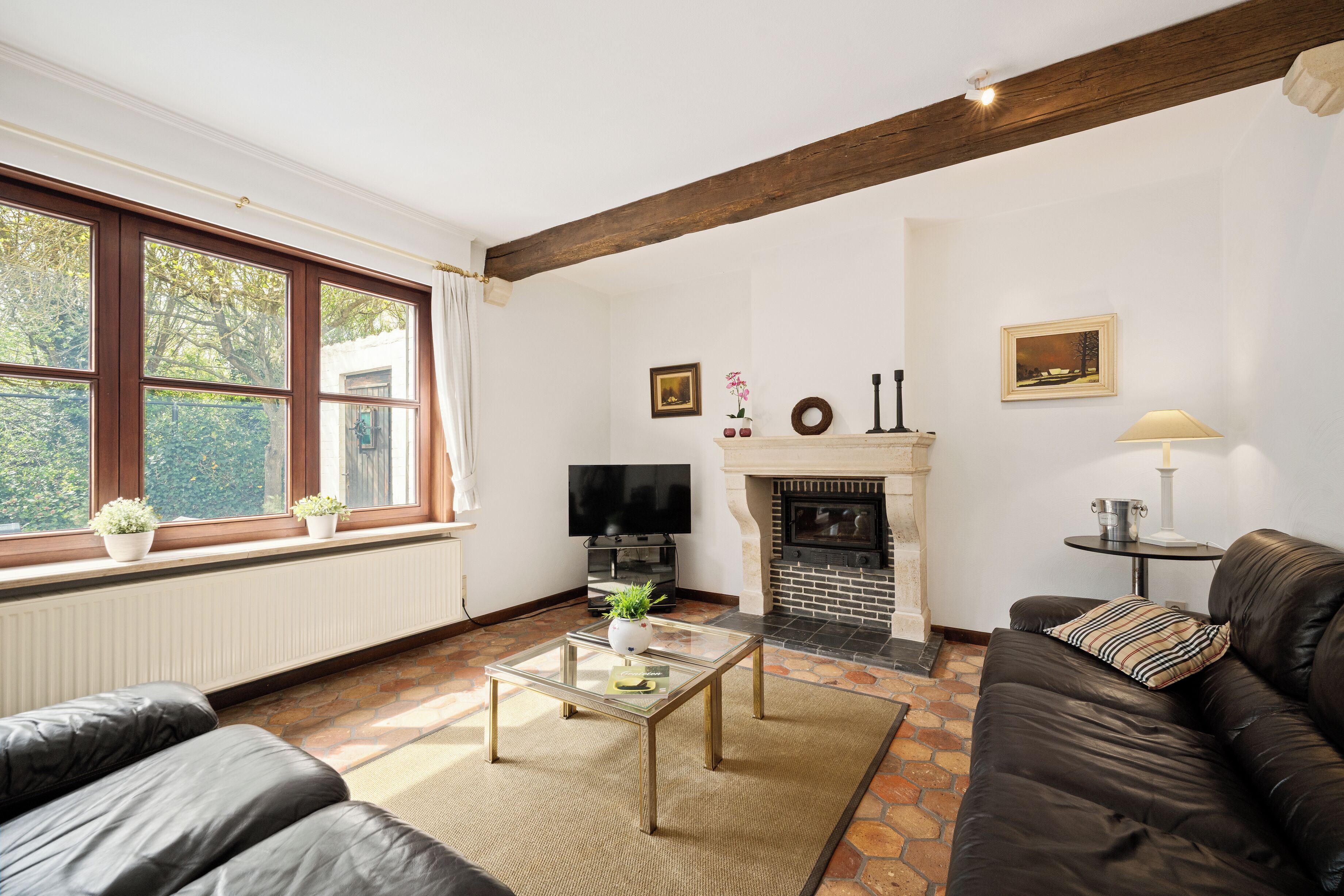 Una sala de estar con chimenea, un sofá, un televisor y una ventana con plantas.