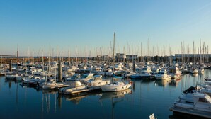 Un puerto deportivo con numerosos barcos amarrados al muelle.