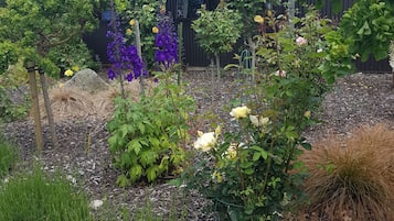 Blick auf den Garten