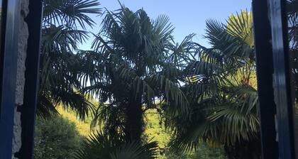 Suites Mendibil Irun