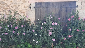 Un bâtiment rustique en pierre, doté d’une porte en bois et orné de fleurs roses en pleine floraison devant l’entrée.