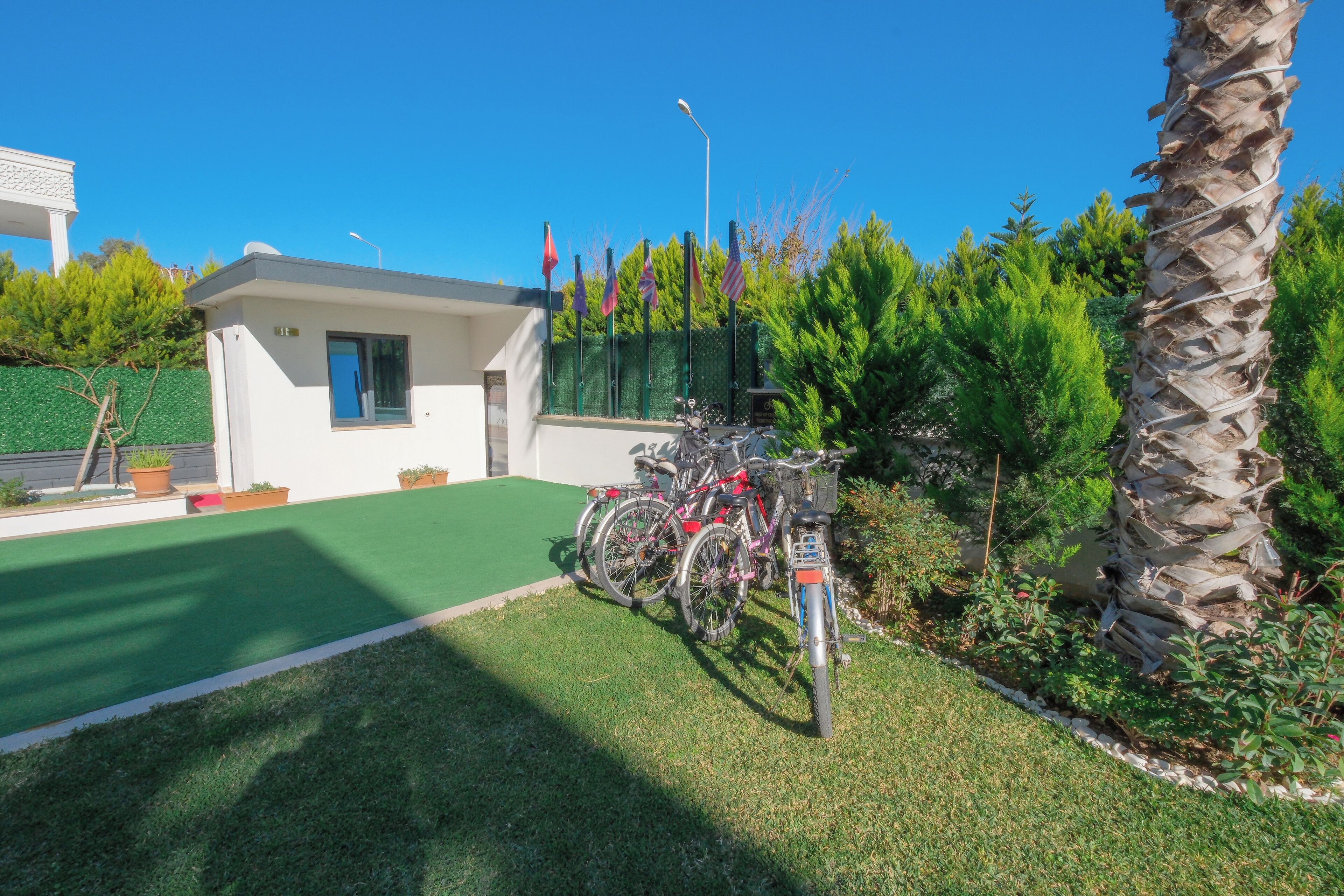Un pequeño edificio con techo verde, un estacionamiento con bicicletas y una palmera.