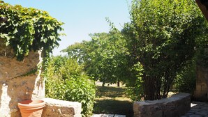 Un patio con suelo de piedra, macetas de terracota y abundante vegetación.