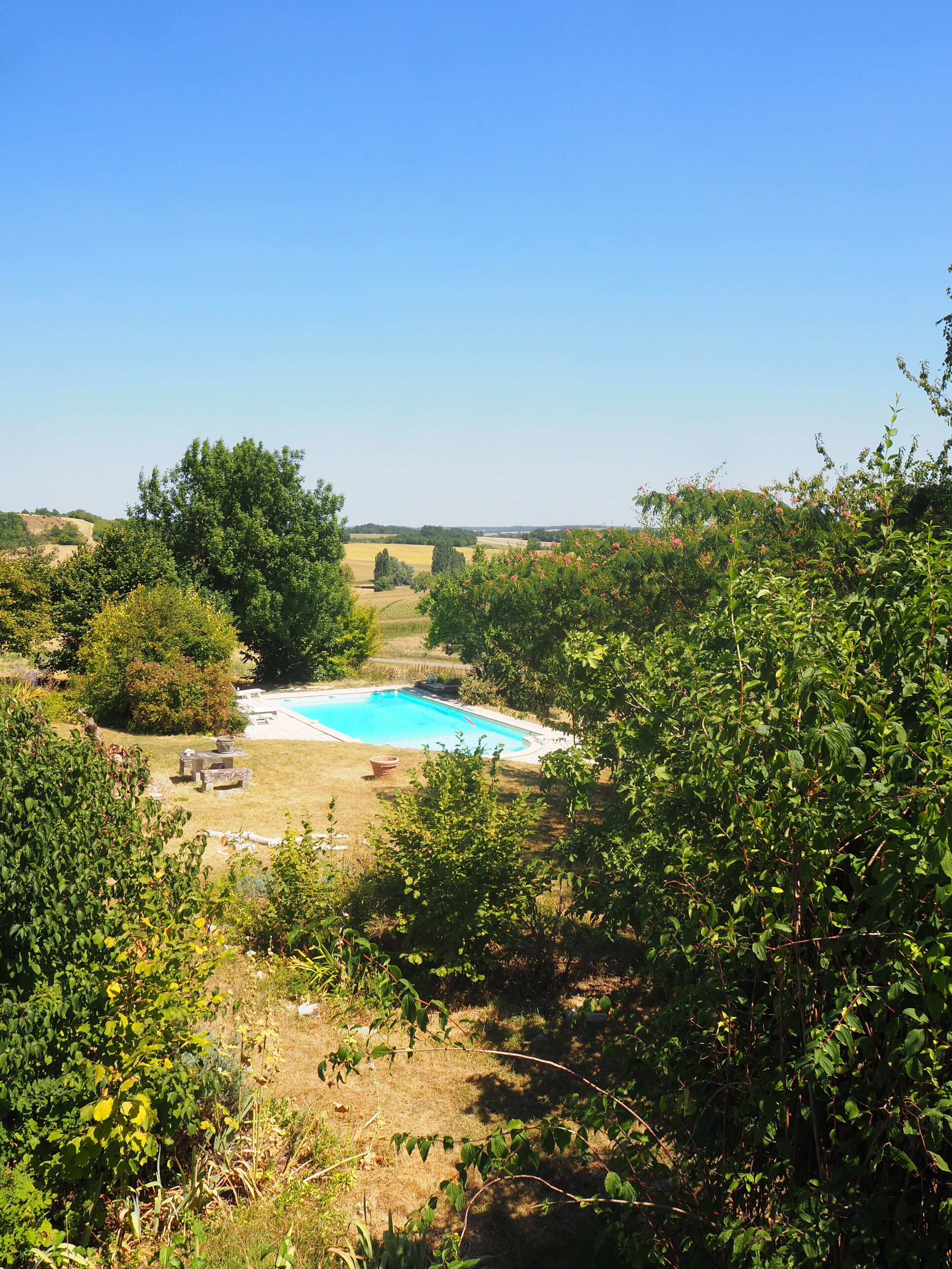 Una piscina rodeada de abundante vegetación y árboles.