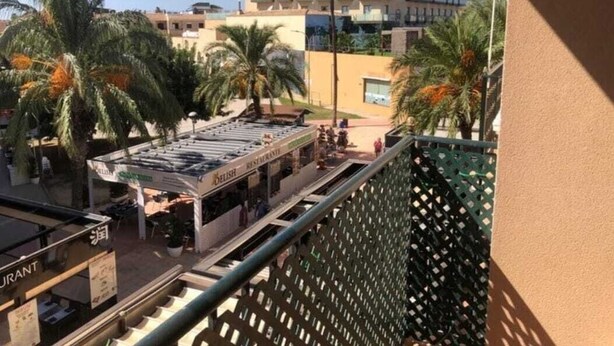 Un hôtel doté d’un restaurant sur le toit et d’un espace piscine, le tout entouré de palmiers.