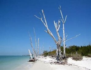 Casa, 3 habitaciones | Áreas de la propiedad