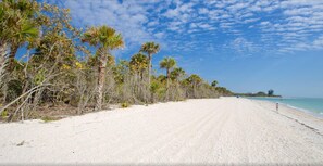 House, 3 Bedrooms | Property grounds - 3734 Tomlinson St - Barefoot Hideaway by Coastal Vacation Properties (Bonita Springs)