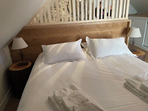 Gite Mouflon,bain à remous, vue montagne