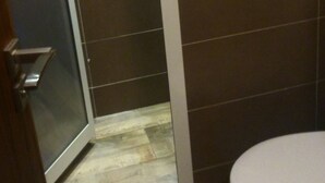 Un baño con zona de ducha e inodoro.