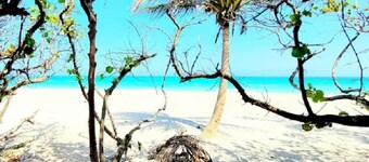 POSHPADZ-Banyan Villa Close to Jupiter Beach-Hot Tub-Private Pool &Tiki Sleeps 8