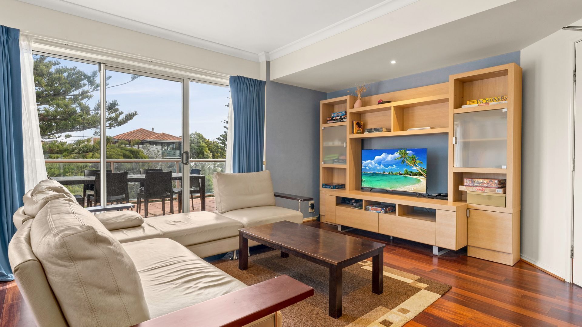 TV, DVD player, books, video library