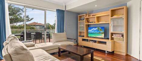 تلفزيون، مشغل دي في دي، كُتُب، مكتبة فيديو